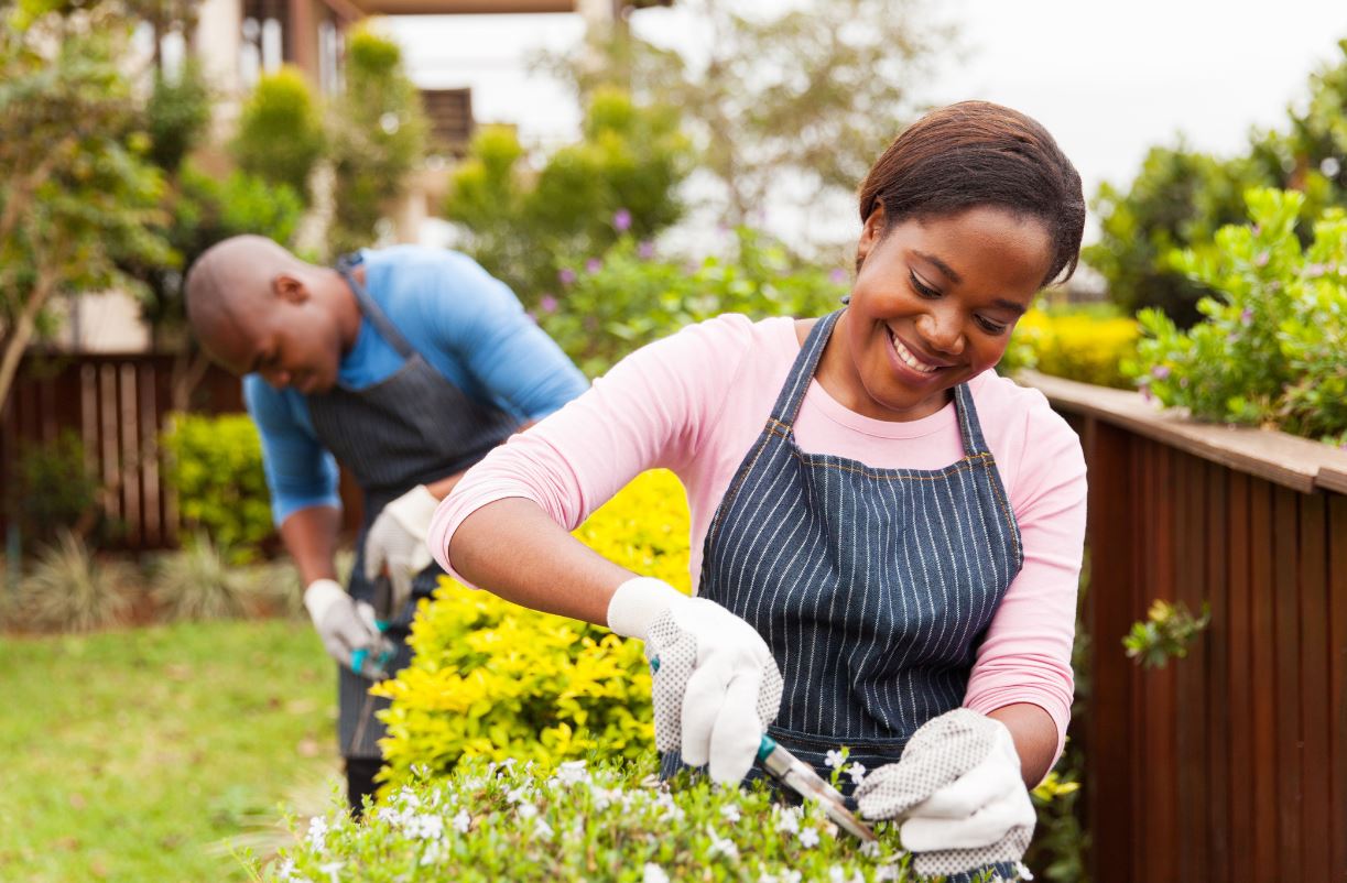 Reliable Landscape Maintenance Services in Yonkers, NY 10701