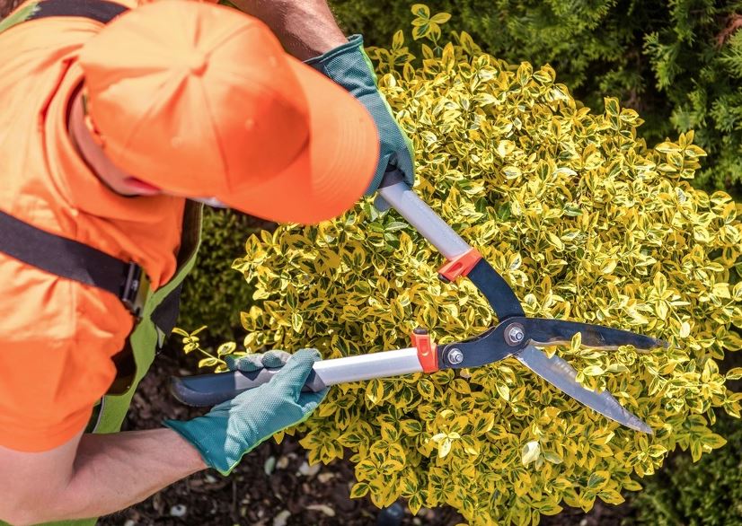 Landscape Maintenance Services in Yonkers, NY