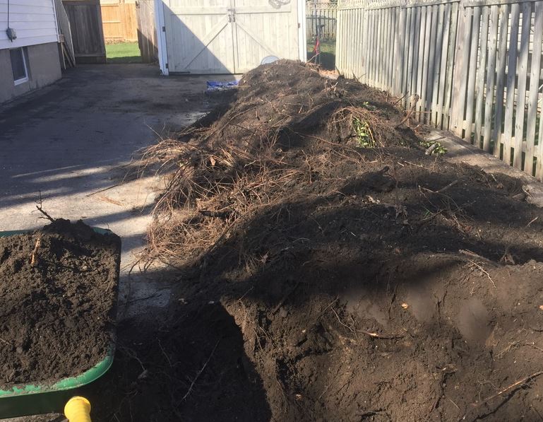 Landscaper in Yonkers, NY