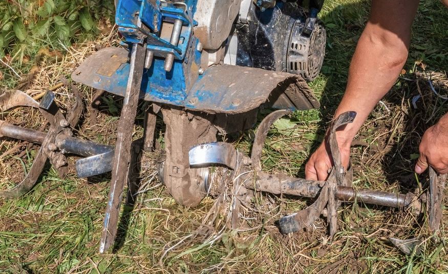 Yard Clean Up in Yonkers, NY